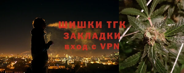 гидра Зеленокумск