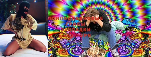 Альфа ПВП Инта
