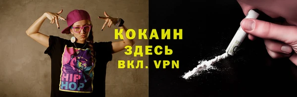 Альфа ПВП Инта