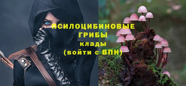 спиды Зерноград